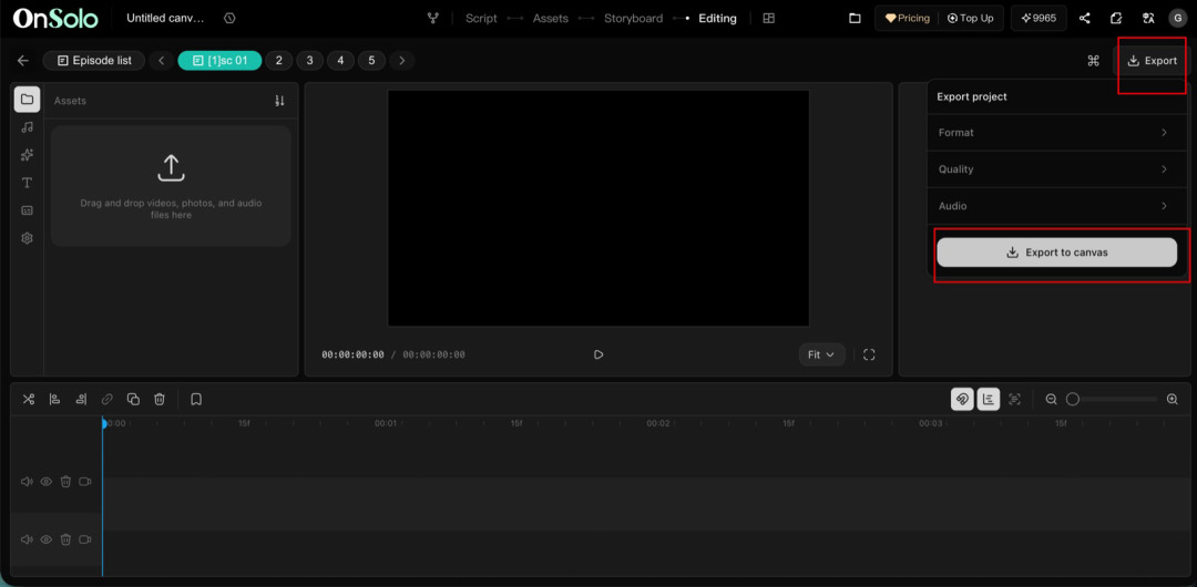 OnSolo Editing view with Export and Export to canvas highlighted